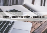 区块链公司如何评估[区块链公司如何盈利]