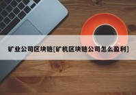 矿业公司区块链[矿机区块链公司怎么盈利]